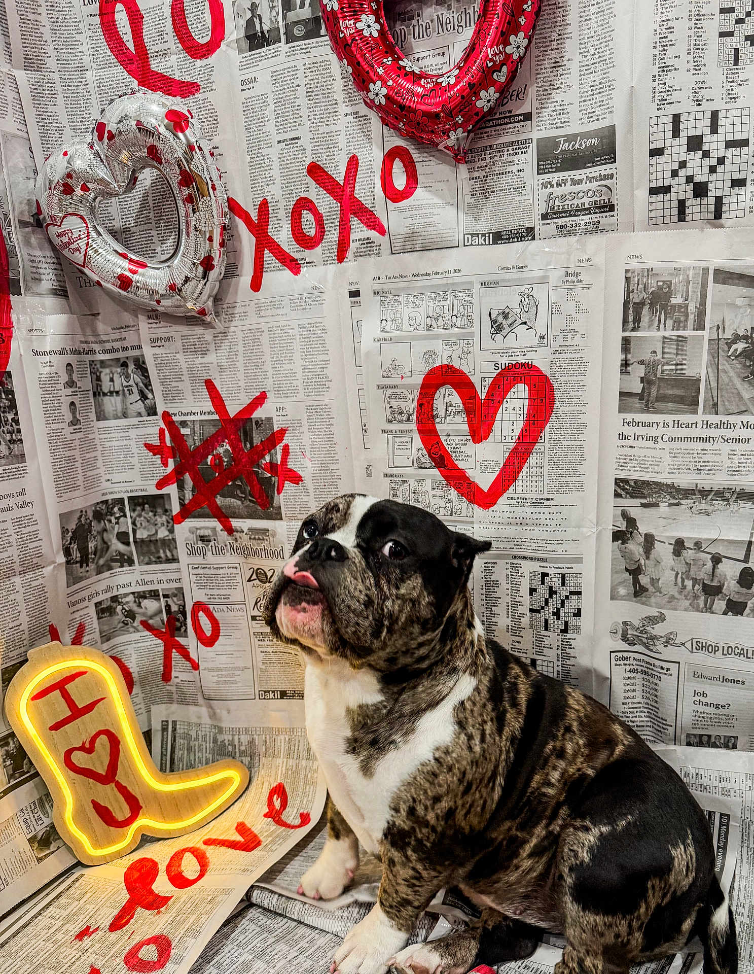 Twoface joined the competition — help win amazing prizes! dog, bulldog, brindle, pet, portrait, tongue_out, sitting, newspaper_background, valentine, heart, balloon, neon_light, decorations, xoxo, painted_graphics, indoor, cute, studio_setup, closeup, paw
