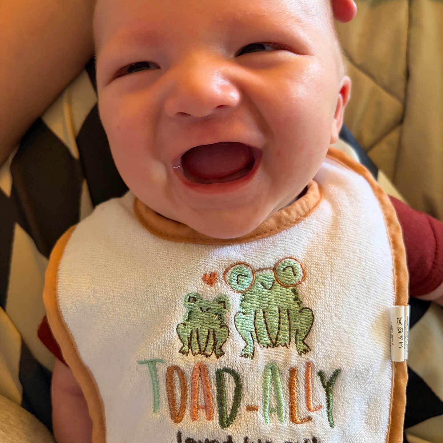 Deluca is registered to the contest to win money with this photo: baby, smile, bib, frog, embroidery, hand, infant, cute, clothing, red_shirt, joy, happy, closeup, face, mouth_open, seated, fabric, text, love, family