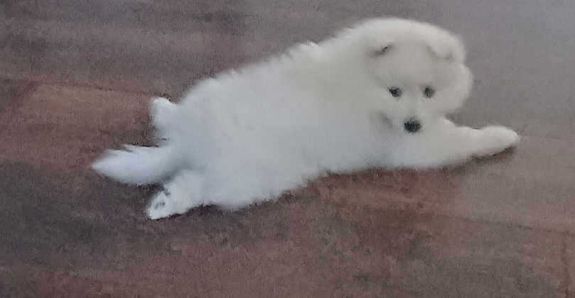 Stormi