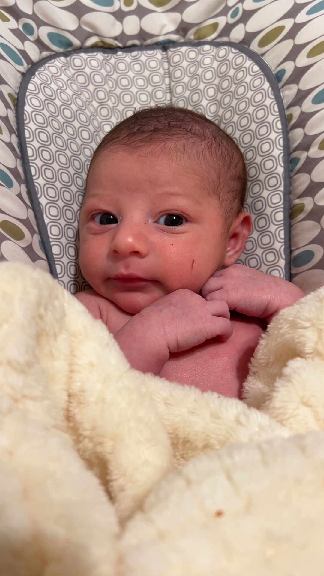 Cyrus is registered to the contest to win money with this photo: newborn, baby, blanket, infant, face, hands, pattern, seat, soft, cute, skin, portrait, indoors, resting, cozy, wrapping, child, young, human, comfort