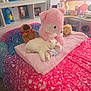 Snow joined the competition — help win amazing prizes! cat, sleeping, stuffed_animal, bed, blanket, pink, white_cat, toy, plush, room, colorful, decor, kid_room, furniture, soft, cozy, home, cute, animal, indoor