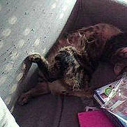 Filou participe au concours pour gagner de l'argent avec cette photo :