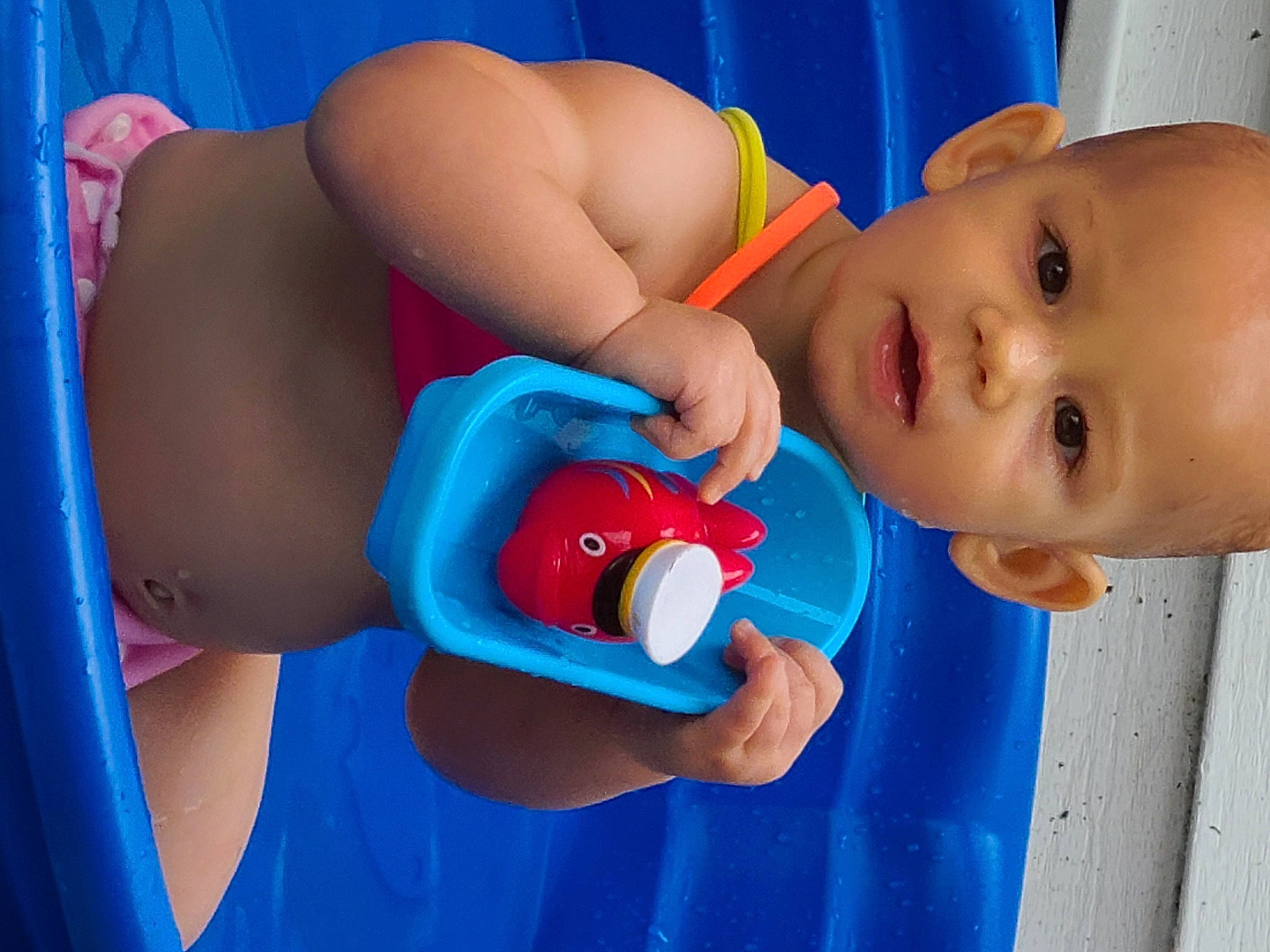 Freyja joined the competition — help win amazing prizes! azure, baby_playing_with_toys, blue, chest, elbow, finger, fun, gesture, hand, happy, joint, leisure, mouth, nail, nose, organ, person, red, skin, thumb