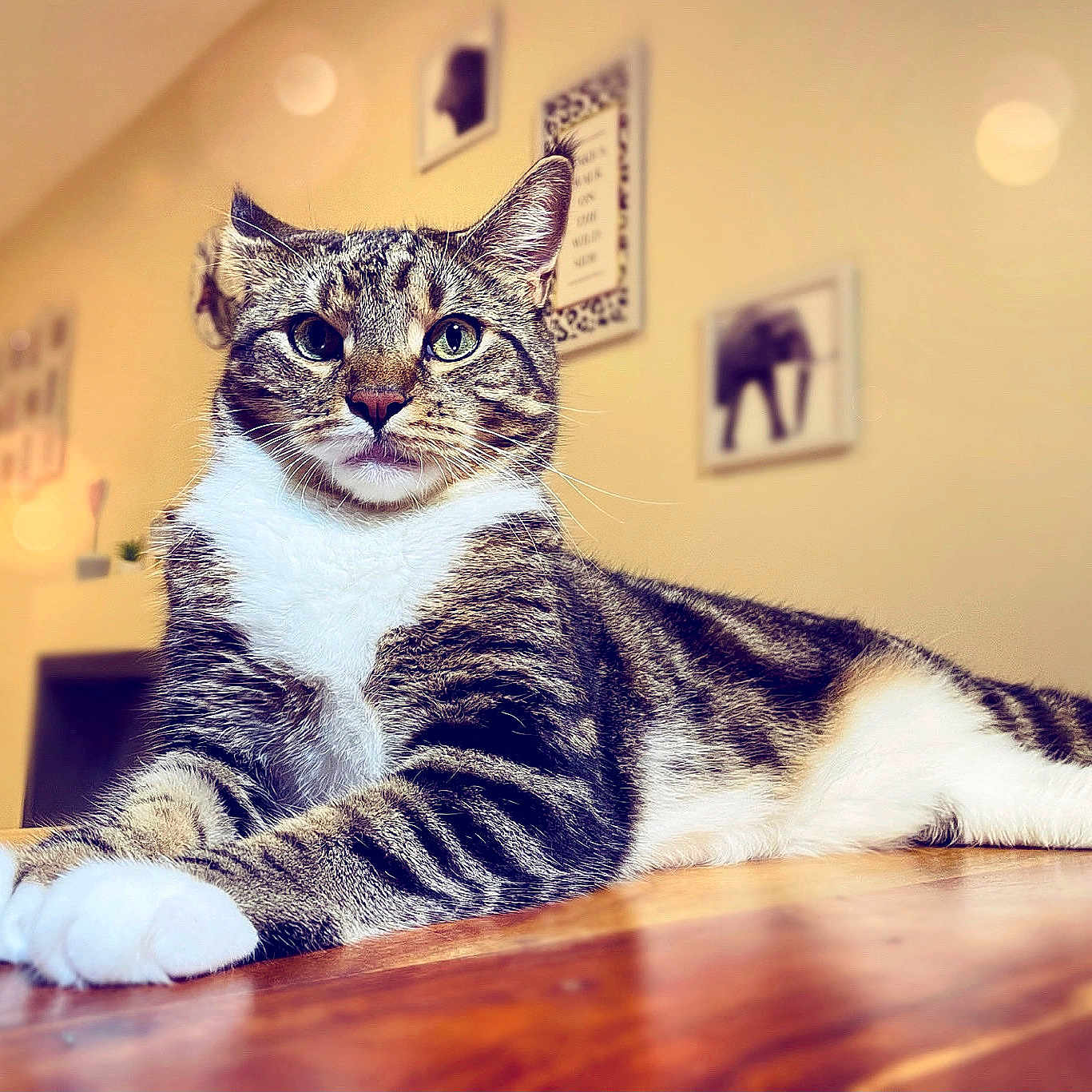 Pablito