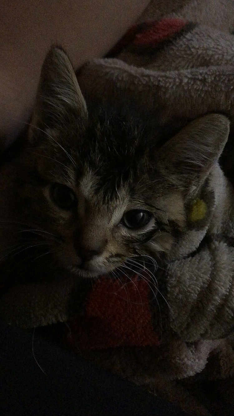 Squishy