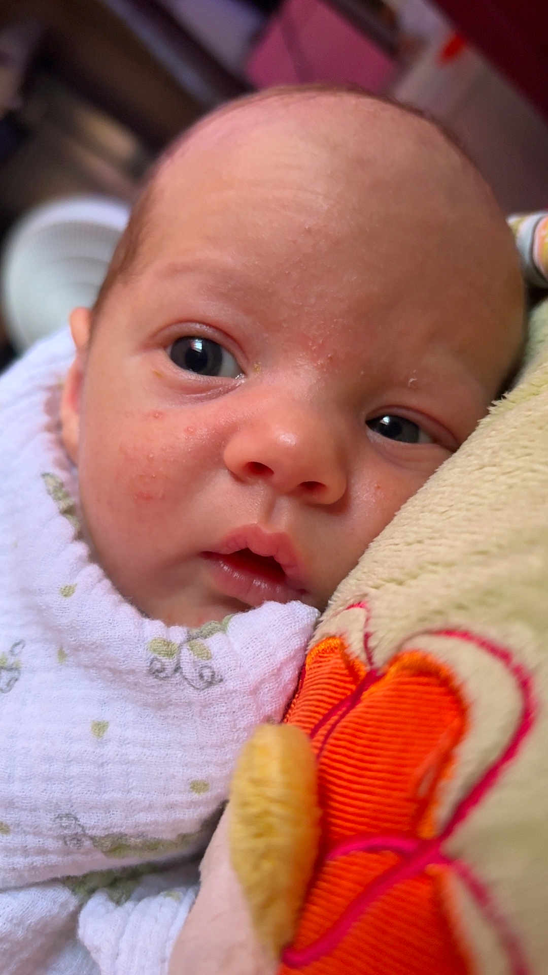 Bellamy joined the competition — help win amazing prizes! baby, newborn, close_up, face, blanket, plush_toy, soft_toy, infant, resting, indoors, cute, expression, skin, head, person, child, portrait, sleepy, young, cozy