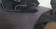 Kalie a rejoint le concours — aidez-le/la à gagner de superbes lots ! dog, black_dog, jacket, couch, indoor, relaxed, pet, animal, clothing, gray, black, seated, resting, home, furniture, canine, cozy, casual, sleepy, domestic