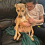 dog, person, couch, blanket, indoor, pet, animal, leather, sitting, white_tshirt, brown_dog, human_hand, furniture, relaxed, companion, looking_at_camera, casual, home, friendship, comfort