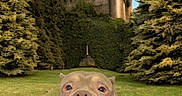 Thor a rejoint le concours — aidez-le/la à gagner de superbes lots ! dog, costume, gryffindor, harry_potter, castle, grass, trees, sky, path, outdoor, pet, portrait, animal, greenery, uniform, fantasy, cute, landscape, nature, park
