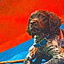 animal, blue_collar, canine, close_up, collar, cute, dog, domestic_animal, fur, indoor, looking_away, lying_down, mammal, orange_background, pet, playful, puppy, resting, speckled_fur, young_dog