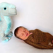 Sebastian is registered to the contest to win money with this photo: newborn, baby, sleeping, wrapped, blanket, plush_toy, dinosaur, blue, soft_toy, cute, infant, resting, white_background, cozy, child, portrait, indoors, peaceful, small, human