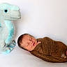 newborn, baby, sleeping, wrapped, blanket, plush_toy, dinosaur, blue, soft_toy, cute, infant, resting, white_background, cozy, child, portrait, indoors, peaceful, small, human