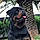 Nerone