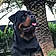 Nerone