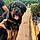 Nerone