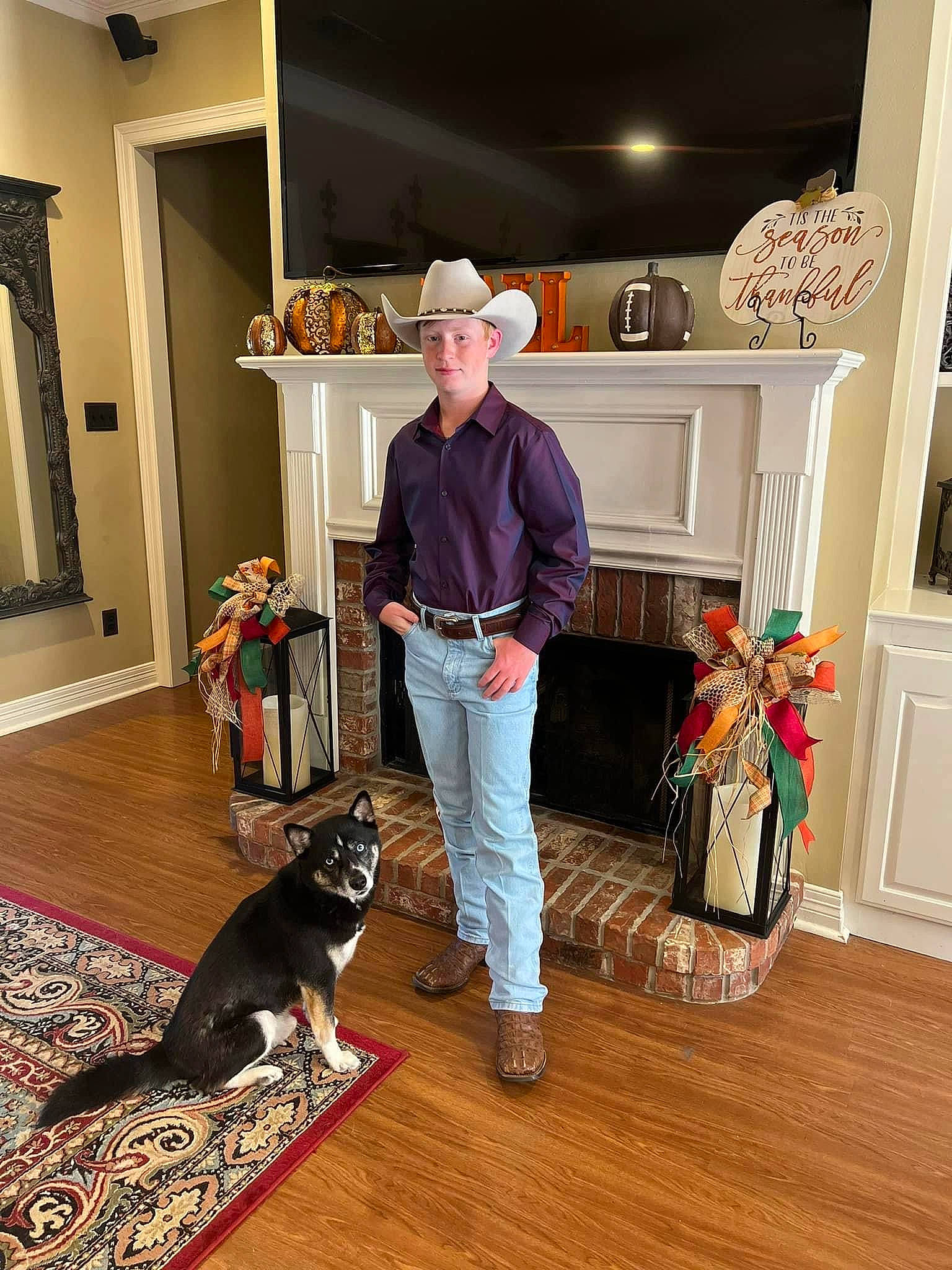 Dog is registered to the contest to win money with this photo: cabinetry, carnivore, companion_dog, dog, dog_breed, door, floor, flooring, hardwood, hat, kitchen, laminate_flooring, living_room, picture_frame, room, shelf, shelving, wood, wood_flooring, wood_stain