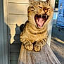 Tiny is registered to the contest to win money with this photo: animal, cat, closeup, daylight, feline, fur, house_siding, mouth_open, nature, outdoor, paw, pet, relaxed, shadow, sunlight, tabby, teeth, tongue, whiskers, wooden_railing