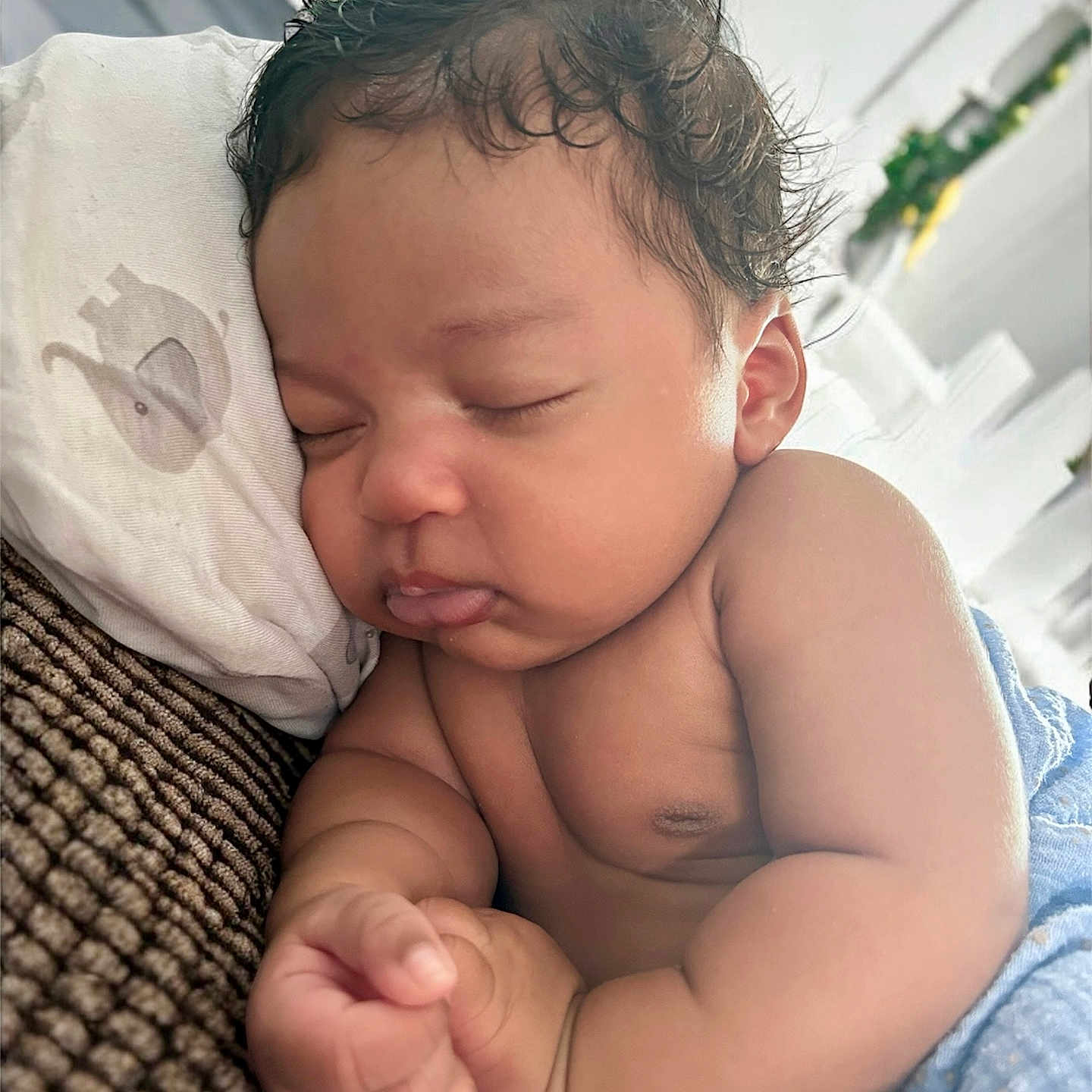 Elijah joined the competition — help win amazing prizes! arm, baby, blanket, child, closeup, couch, cozy, curly_hair, elephant_print, face, hand, indoors, infant, peaceful, pillow, portrait, rest, skin, sleeping, soft_light