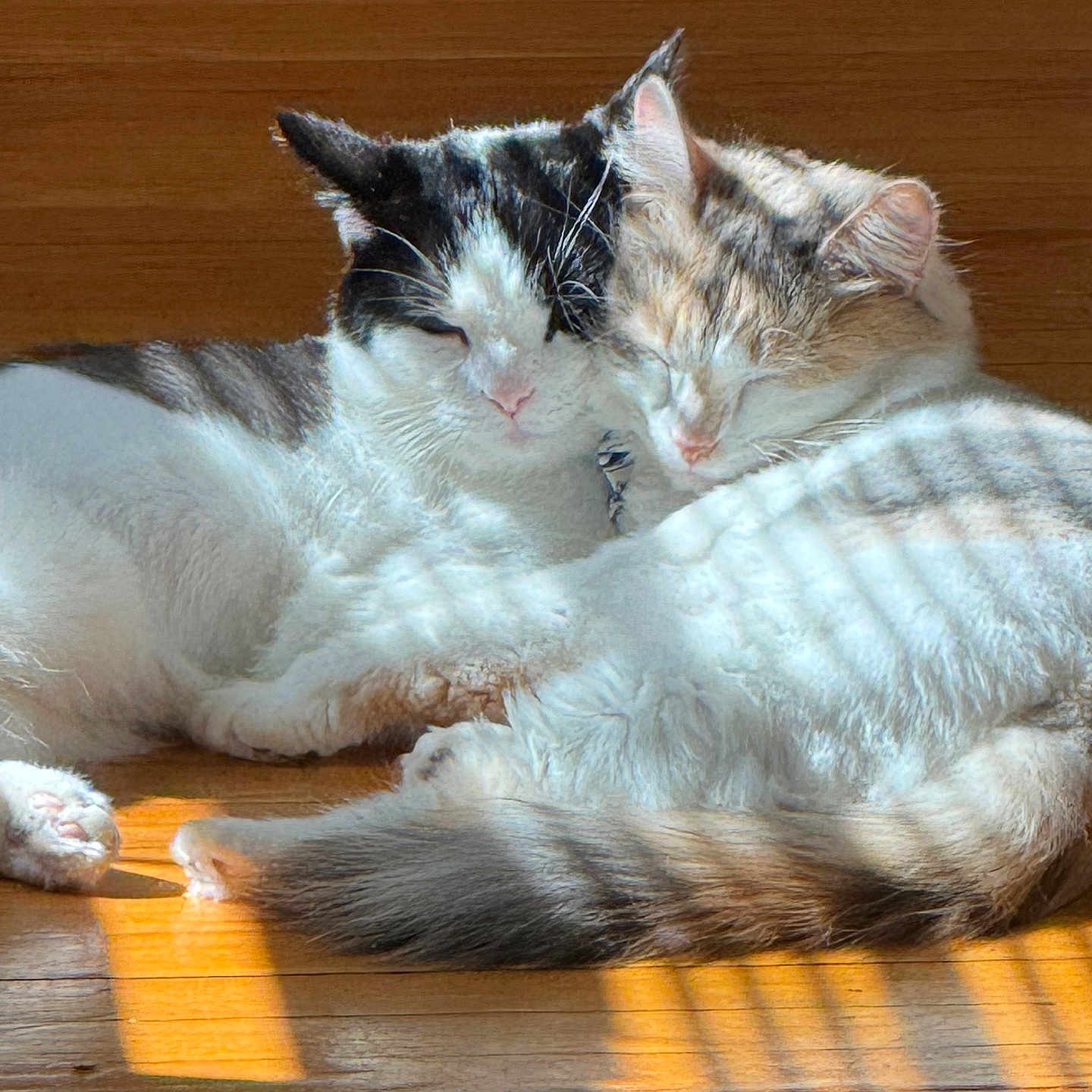 Delta And Patty