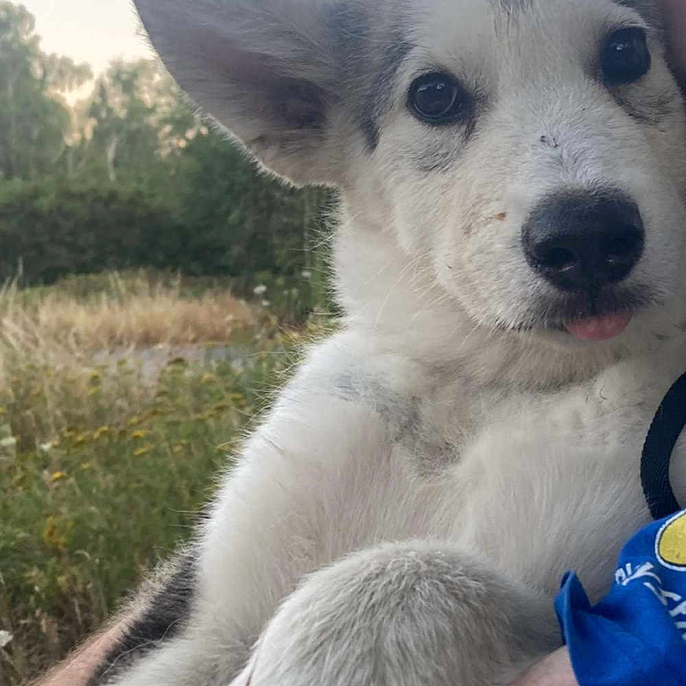 Alaska
