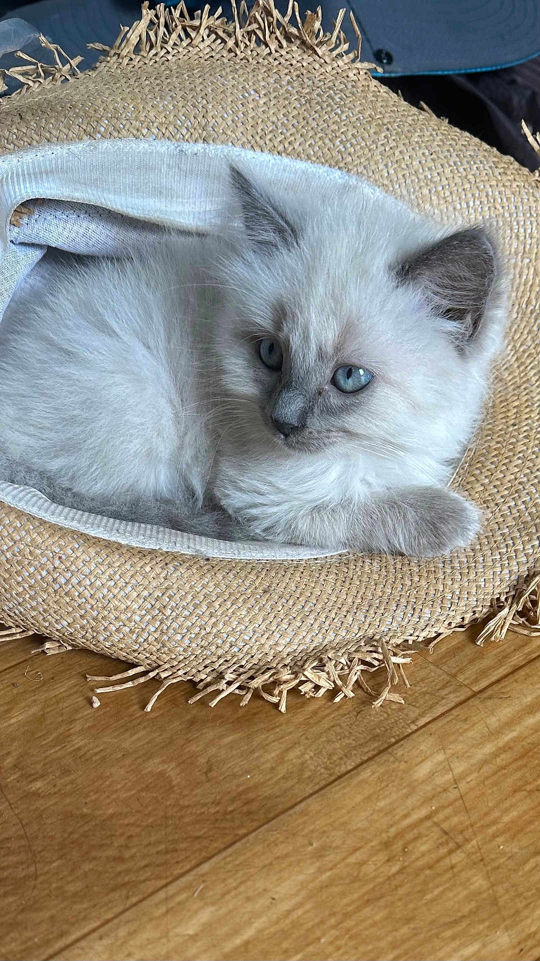 Sammie