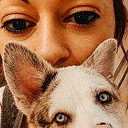 Balto a rejoint le concours — aidez-le/la à gagner de superbes lots ! woman, dog, close_up, portrait, heterochromia, pink_nose, face, eyes, pet, animal, indoor, human, cute, affection, friendship, fur, canine, head, looking_at_camera, love