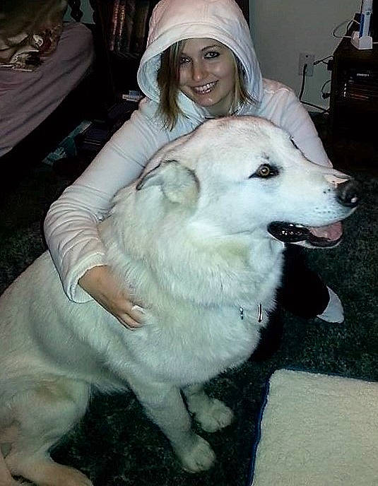 Mishka joined the competition — help win amazing prizes! berger_blanc_suisse, canidae, carnivore, dog, dog_breed, great_pyrenees, headwear, joy, kintamani, labrador_husky, mammal, person, pungsan_dog, rare_breed_dog, slovak_cuvac, vertebrate