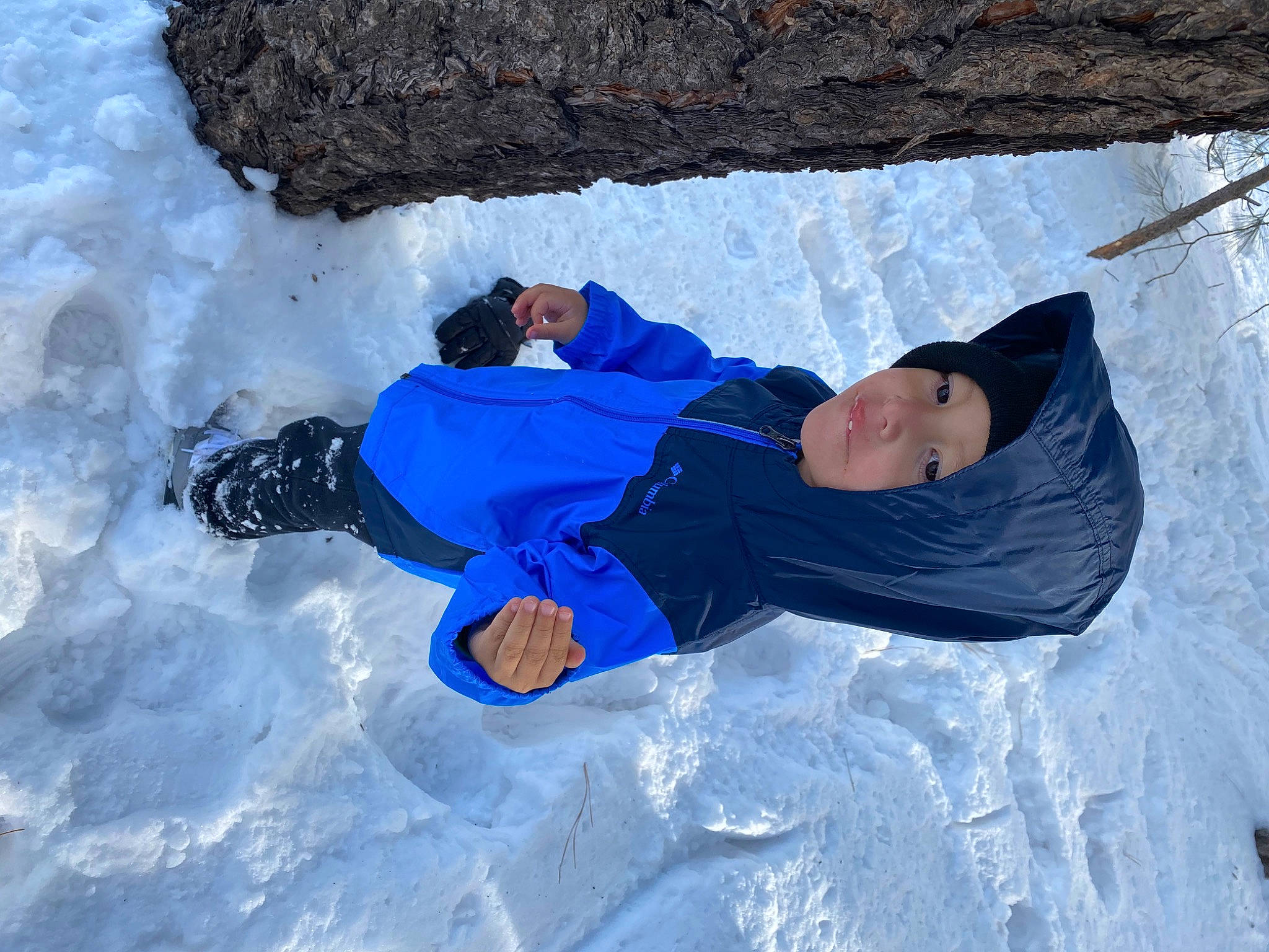 Jeovani is registered to the contest to win money with this photo: adventure, azure, electric_blue, freezing, fun, geological_phenomenon, glacial_landform, headwear, ice, ice_cap, jacket, leisure, outdoor_recreation, person, recreation, slope, smile, snow, toddler, tree