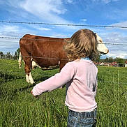 Léa a rejoint le concours — aidez-le/la à gagner de superbes lots ! animal, cattle, child, clothing, countryside, farm, female, field, girl, grass, grassland, jeans, livestock, nature, outdoors, pants, pasture, person, plant, rural