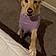 Sadie