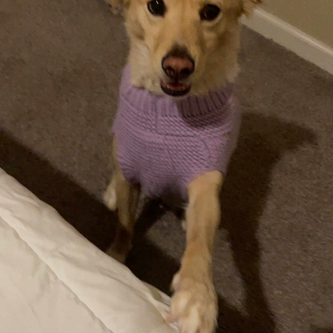 Sadie