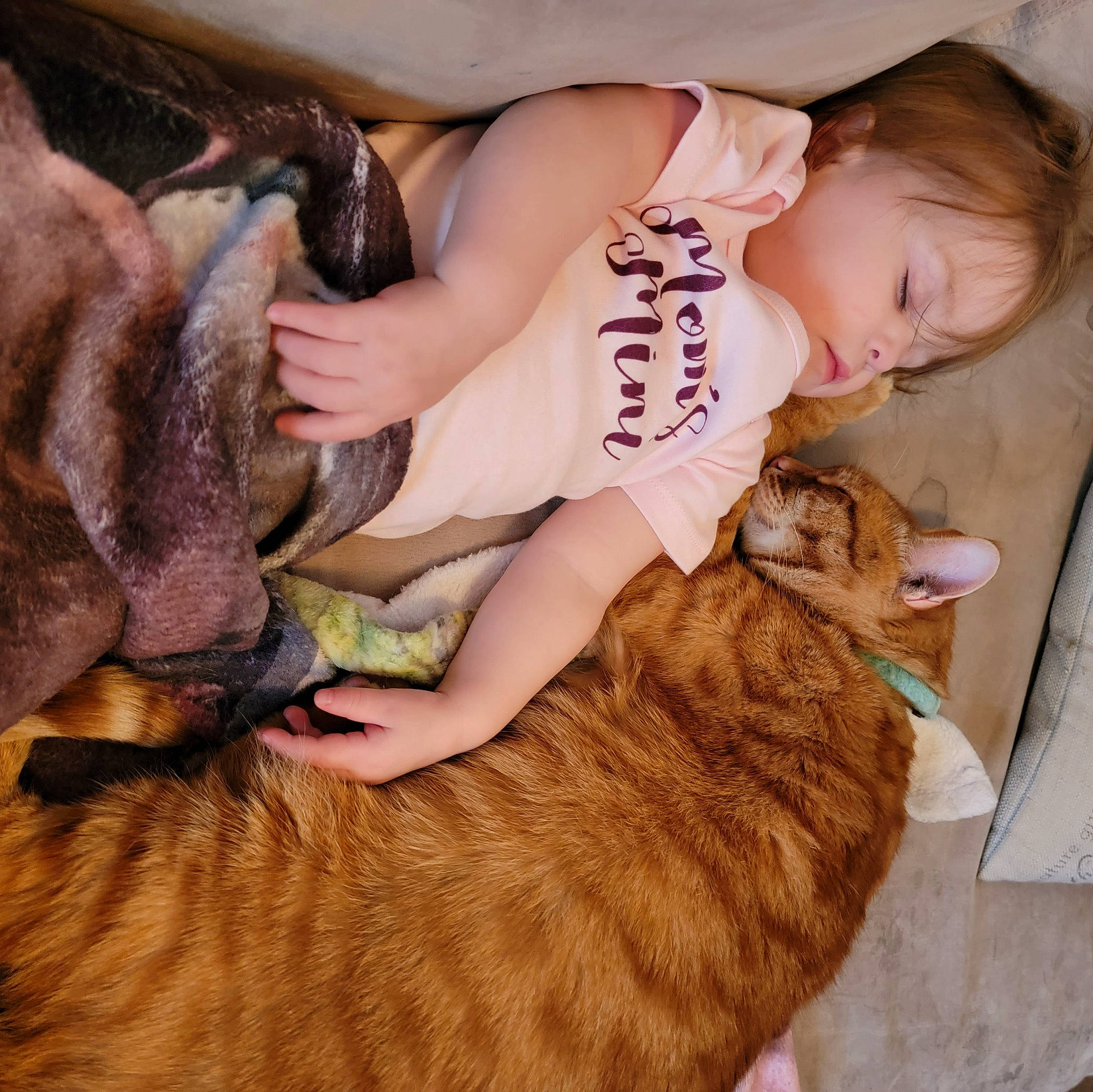 Marceline is registered to the contest to win money with this photo: abdomen, baby, bed, carnivore, comfort, companion_dog, couch, dog_breed, fawn, felidae, fur, happy, human_leg, long_hair, mammal, person, skin, small_to_medium_sized_cats, thigh, toddler