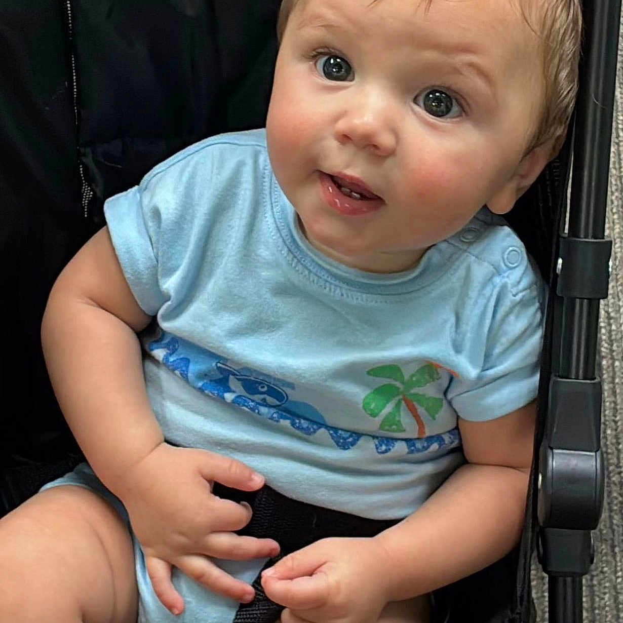 Alexandro is registered to the contest to win money with this photo: baby, child, stroller, blue_shirt, palm_tree, curly_hair, cute, infant, hands, legs, sitting, indoor, face, eyes, skin, expression, clothing, person, photography, casual
