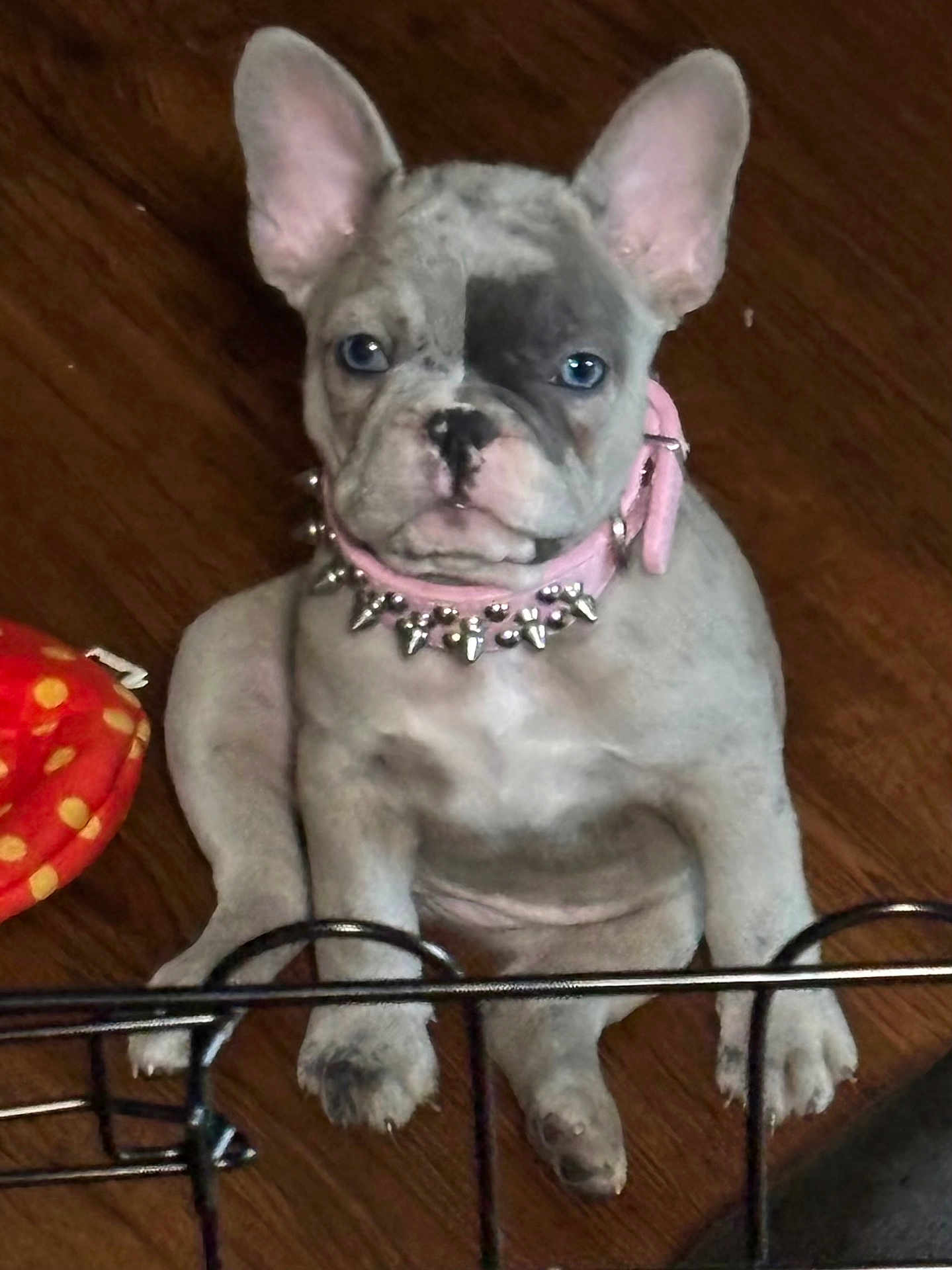 Nalla