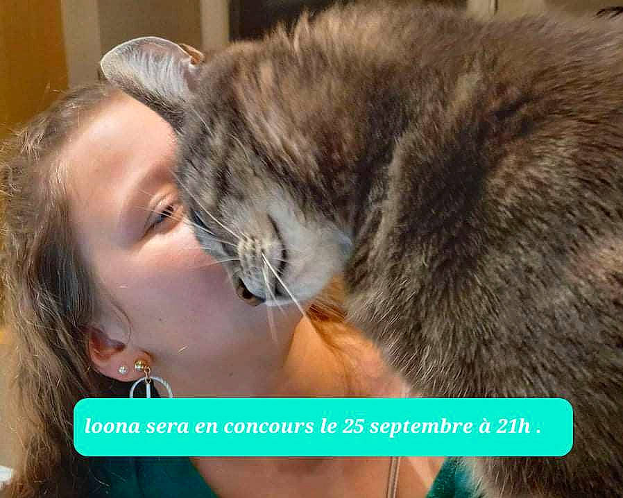 Loona participe au concours pour gagner de l'argent avec cette photo : carnivore, cat, claw, comfort, domestic_short_haired_cat, ear, eyelash, felidae, fur, gesture, hair, happy, love, nap, nose, paw, person, photo_caption, small_to_medium_sized_cats, snapshot