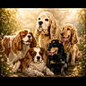 dog, spaniel, group, pets, outdoor, nature, flowers, sunlight, golden_hour, portrait, animal, canine, fur, grass, sitting, cute, companions, friendly, happy, leash