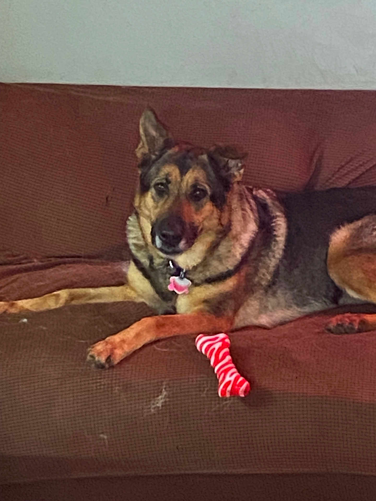Maggie Mae