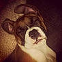 Willow is registered to the contest to win money with this photo: