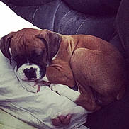 Willow is registered to the contest to win money with this photo: