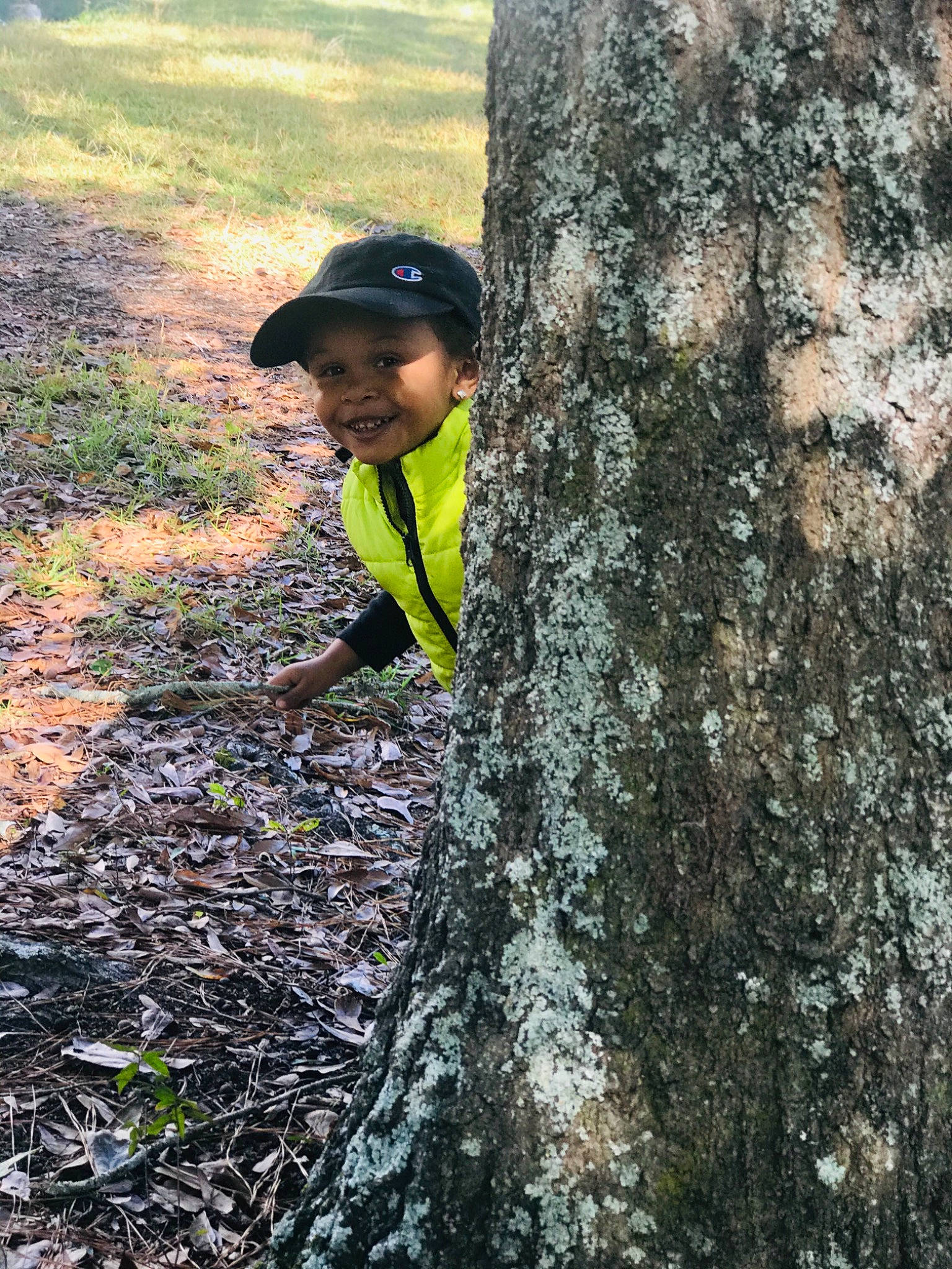 Elijah is registered to the contest to win money with this photo: adaptation, forest, joy, jungle, old_growth_forest, person, plant, tree, trunk, wood, woodland, woody_plant