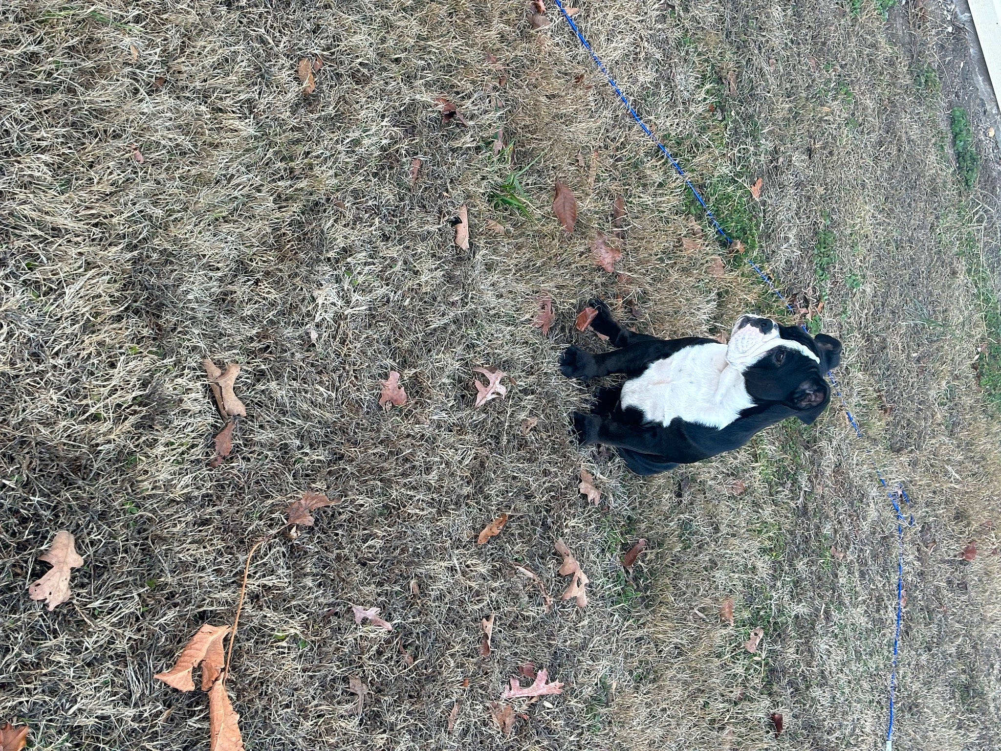 Diva is registered to the contest to win money with this photo: adventure, asphalt, bedrock, concrete, grass, landscape, people_in_nature, recreation, road_surface, rock, shadow, sidewalk, slope, soil, tar, tree, trunk, wood