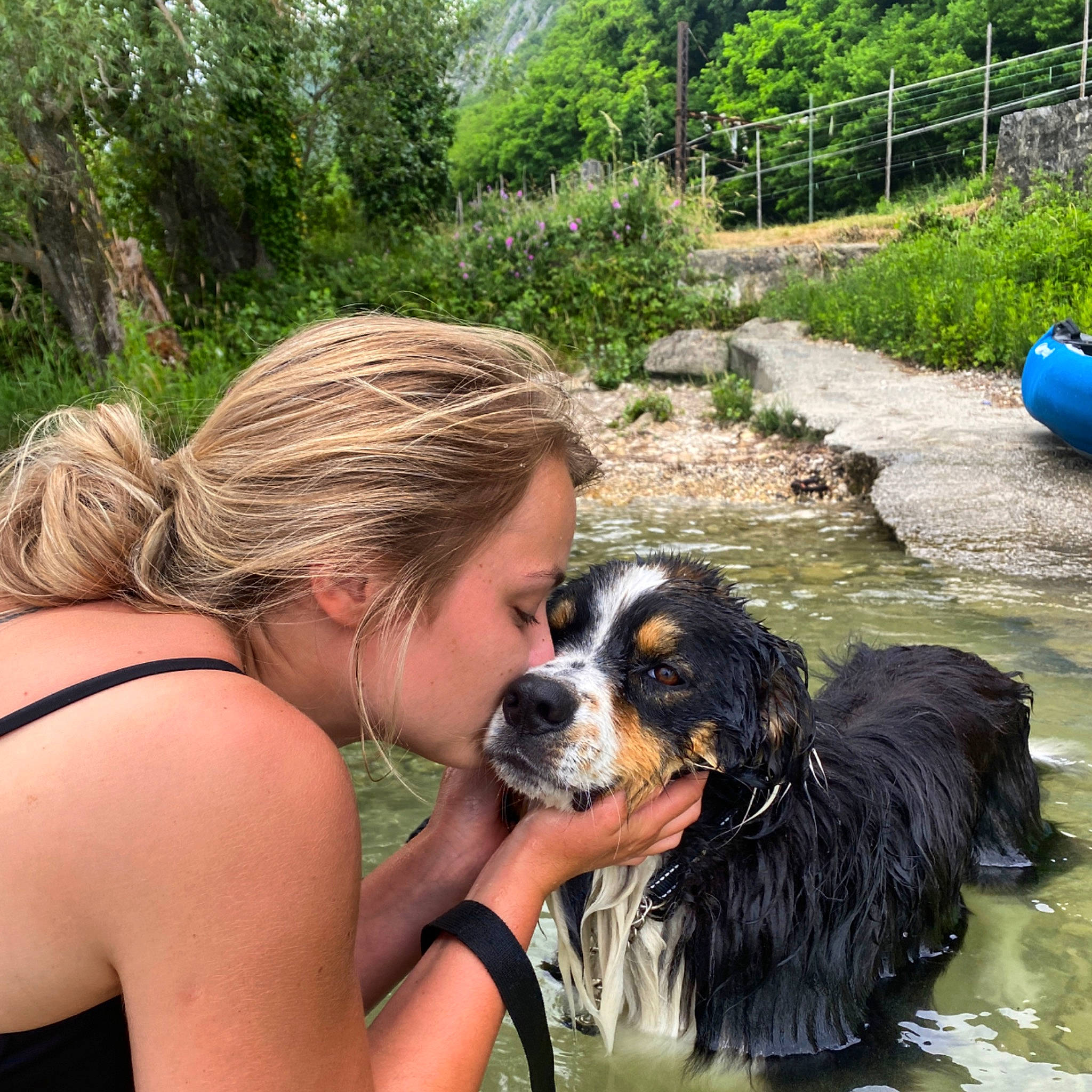 Kaly participe au concours pour gagner de l'argent avec cette photo : bernese_mountain_dog, carnivore, companion_dog, dog, dog_breed, fun, grass, happy, landscape, leisure, nature, plant, recreation, smile, sporting_group, sunglasses, tree, water, working_animal, working_dog