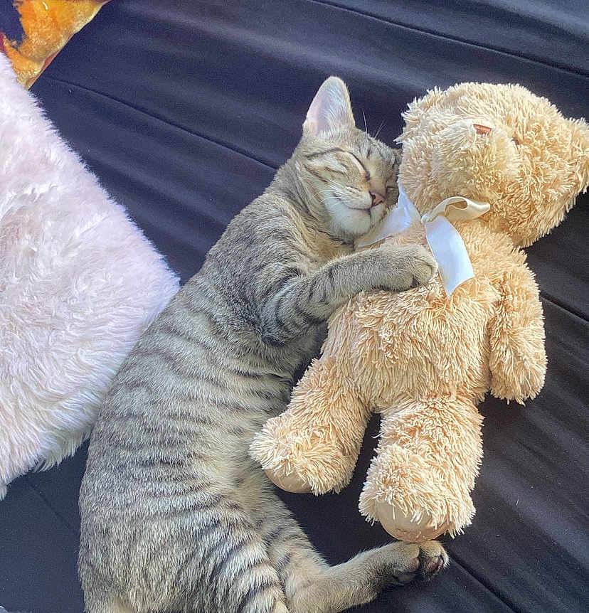 Baby