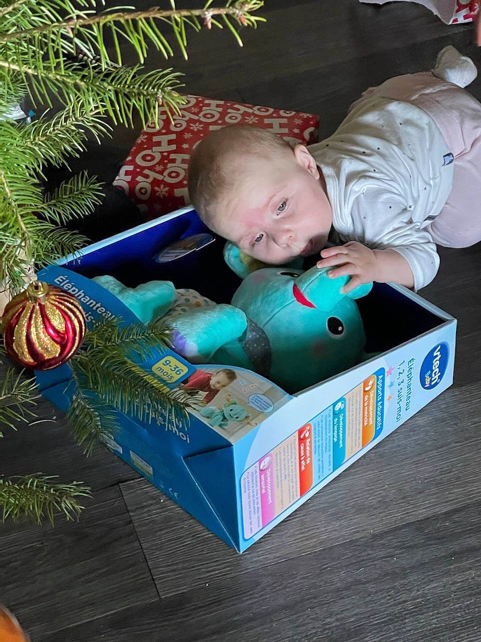 Eloane participe au concours pour gagner de l'argent avec cette photo : baby, baby_products, baby_toddler_clothing, box, child, christmas_ornament, comfort, conifer, event, fun, grass, happy, holiday, holiday_ornament, packing_materials, person, play, sitting, smile, toddler