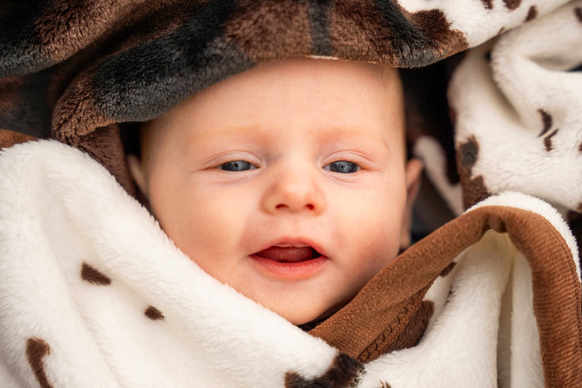 Harry joined the competition — help win amazing prizes! baby, blanket, face, infant, closeup, soft, cute, child, wrapped, warm, skin, expression, head, portrait, young, comfort, cozy, eyes, mouth, newborn
