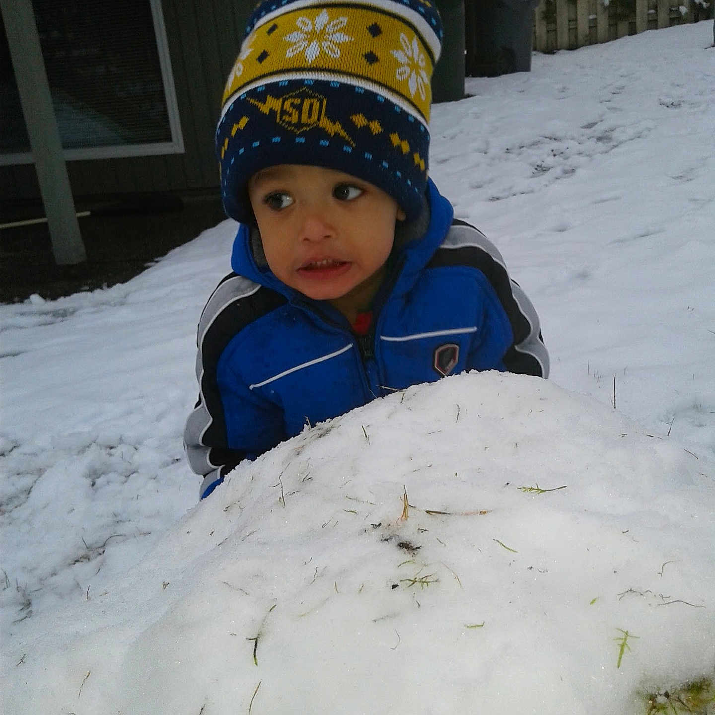 Alijah is registered to the contest to win money with this photo: child, snow, winter_clothing, hat, blue_jacket, outdoor, backyard, snow_mound, curious, cold_weather, grass, fence, window, trash_bins, person, play, season, daytime, young_child, expression