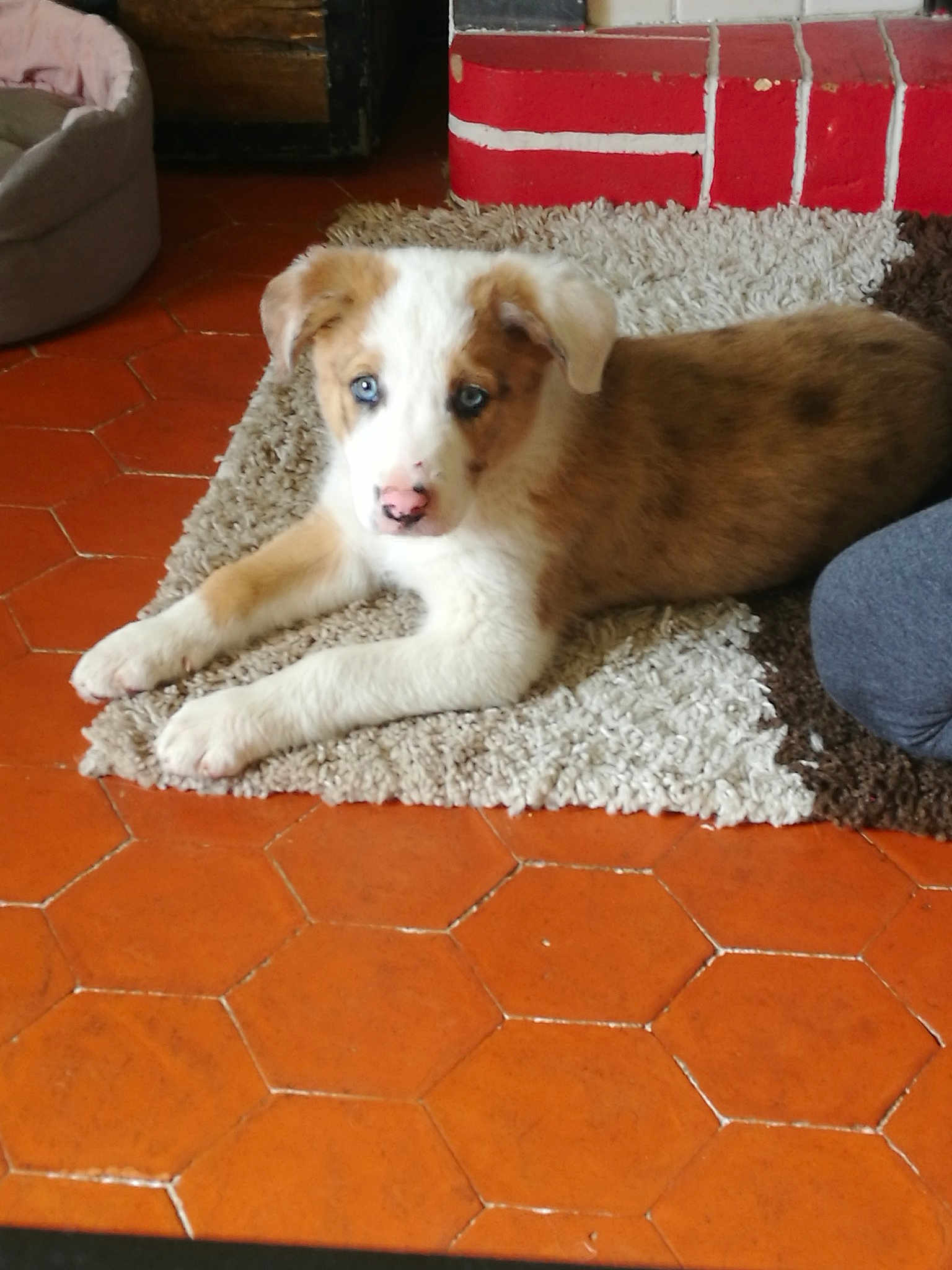 Marley