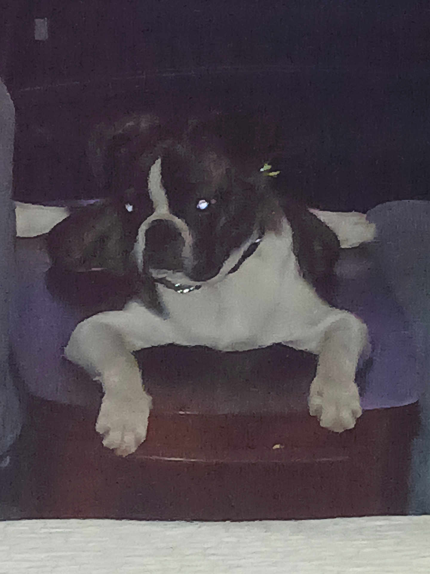 Abby