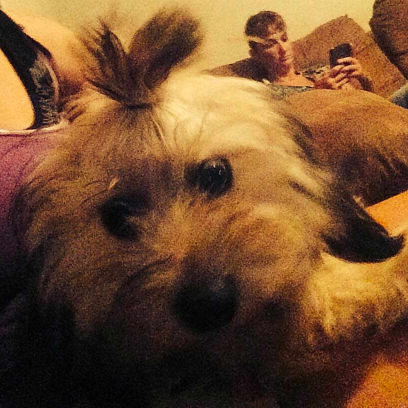 Daisy