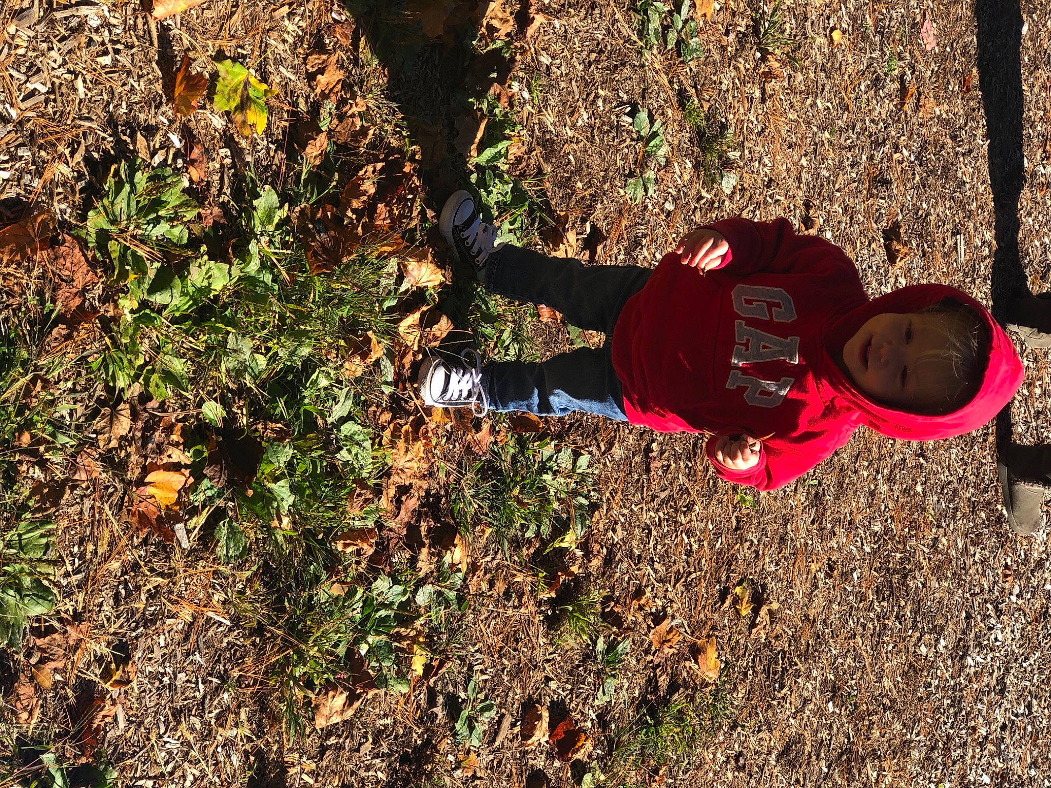 Bryson joined the competition — help win amazing prizes! baby_toddler_clothing, carmine, groundcover, headwear, human, people_in_nature, person, play, shadow, soil, toddler, under_exposed, walking_shoe